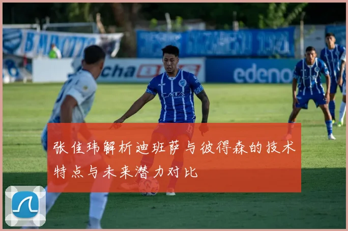 张佳玮解析迪班萨与彼得森的技术特点与未来潜力对比