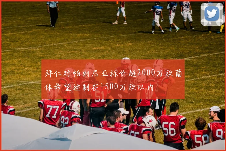 拜仁对帕利尼亚标价超2000万欧葡体希望控制在1500万欧以内