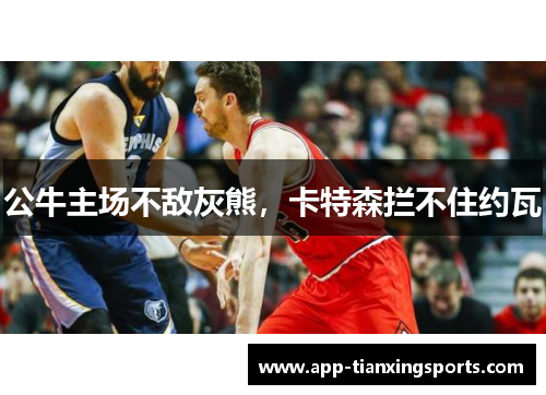 公牛主场不敌灰熊，卡特森拦不住约瓦