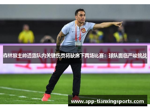 森林狼主帅透露队内关键伤员将缺席下两场比赛：球队面临严峻挑战