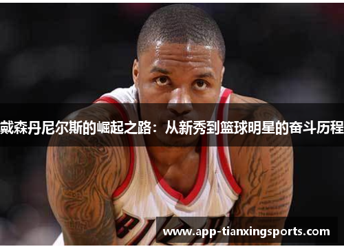 戴森丹尼尔斯的崛起之路：从新秀到篮球明星的奋斗历程